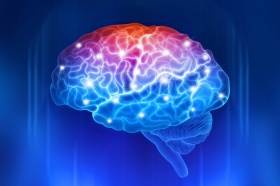 Сегодня — Всемирный день мозга. Он отмечается ежегодно 22 июля с  целью привлечь внимание  общества к вопросам здоровья человеческого мозга.