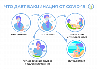 Информационные материалы по профилактике гриппа и ОРВИ, COVID-19
